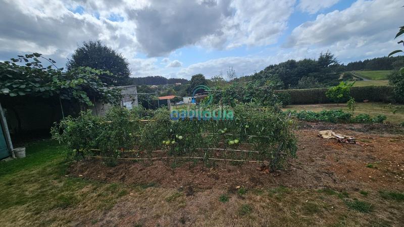 Foto 83f41bae-abdd-4d06-b73a-903ede884202. Finca rústica a Abegondo