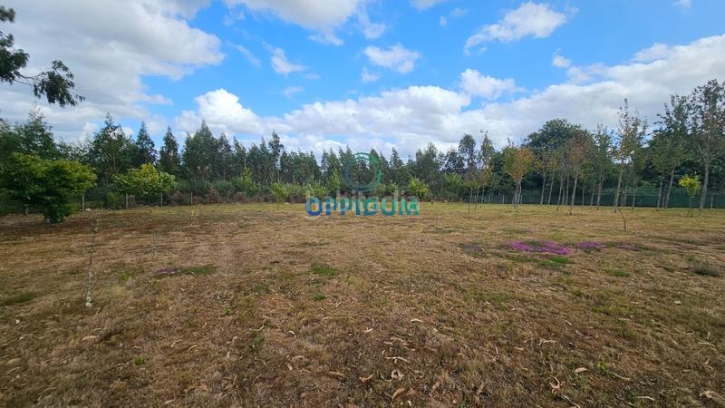 Foto 8c8c508d-9141-47eb-8e77-714cfba09d73. Finca rústica a Abegondo