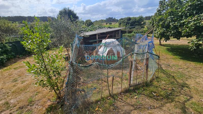 Foto ca2ef974-e240-4698-824f-1cd978eb1677. Finca rústica a Abegondo