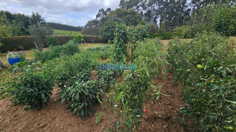 Foto e2b2e94a-ae6b-4535-9408-fb3ce1f1a1b9. Finca rústica a Abegondo