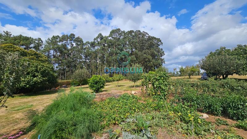 Foto e8afdb92-47c8-4a25-b607-e380e343cf81. Finca rústica a Abegondo