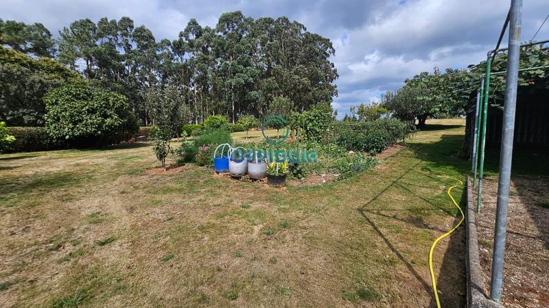Foto f353f3b4-bc5c-4be3-ab14-e560630d4973. Finca rústica a Abegondo