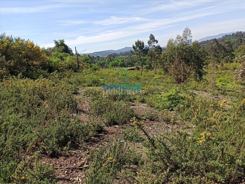 Foto 0504c3a8-418b-43e6-8294-a96b25f195b0. Terreno residenziale in O Milladoiro Ames