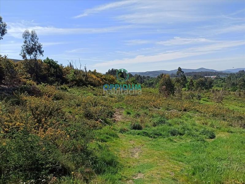 Foto 05cc3ed1-c39a-411f-bcc0-7b793307f21d. Terreno residenziale in O Milladoiro Ames