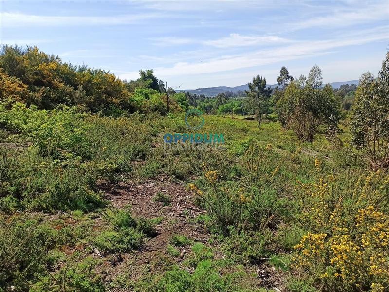 Foto f3dfbe5a-aa5e-4cb6-bac4-0ab856b006bc. Terreno residenziale in O Milladoiro Ames