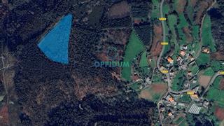Finca rústica a Lugar cabrois. Venta de monte de 12.600 m2 en cabrois, carral