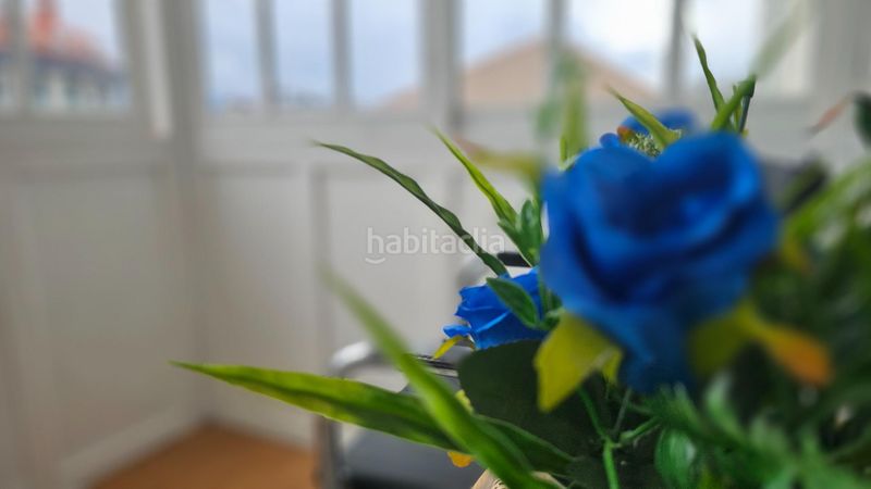 Foto 1f5f1aa0-686b-4f04-9839-7f91c3b4b816. Pis a Cee