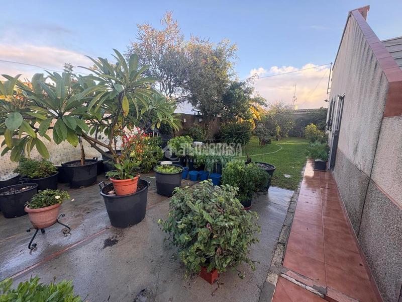 Foto 9669094a-9902-41bb-a1da-4235f3e00515. Casa a Monteolivete-Camino Sevilla Sanlúcar de Barrameda
