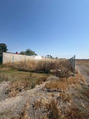 Fondo rustico  Camino munive. Terrenos en venta en sanlúcar de barrameda