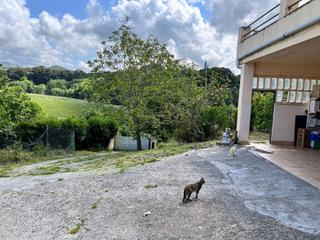 Casa a El Callejo - La Pesquera - La Arenosa. Las cárcobas