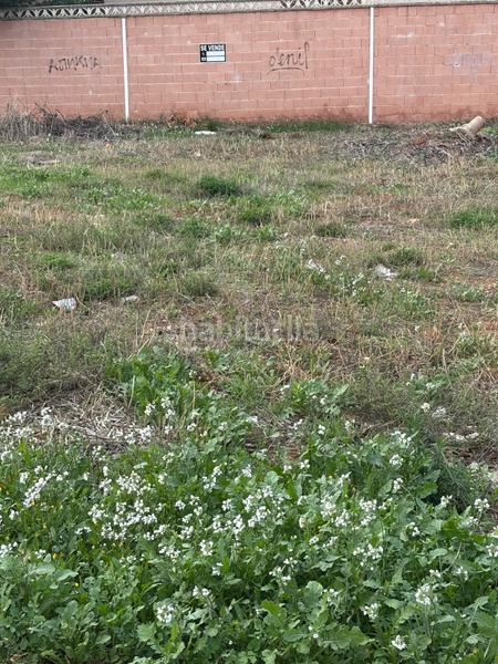 Foto 8b0d6bbd-3c6a-45b5-82ad-619caaa769a7. Terrain résidentiel dans Villanueva de la Torre