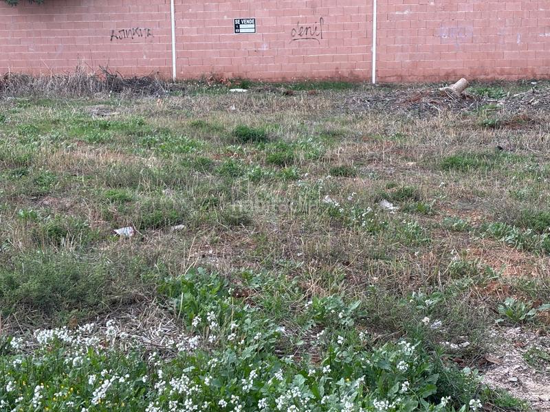 Foto b276f528-51b1-4dd6-9882-427d78374c0b. Terrain résidentiel dans Villanueva de la Torre