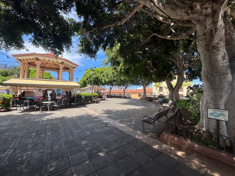 Foto 97341165-6fa4-44a3-9bbe-513300be93d4. Casa se vende hermosa casa en buena vista del norte en Buenavista del Norte