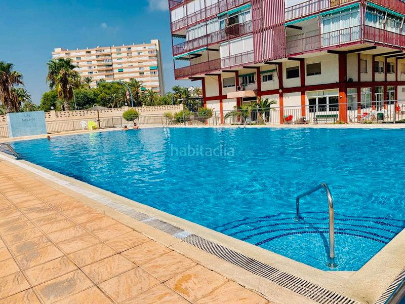 Foto 0692f505-2d6f-472b-b5ca-cba29219821f. Piccolo appartamento in avenida de niza 30 in Playa de San Juan Alicante