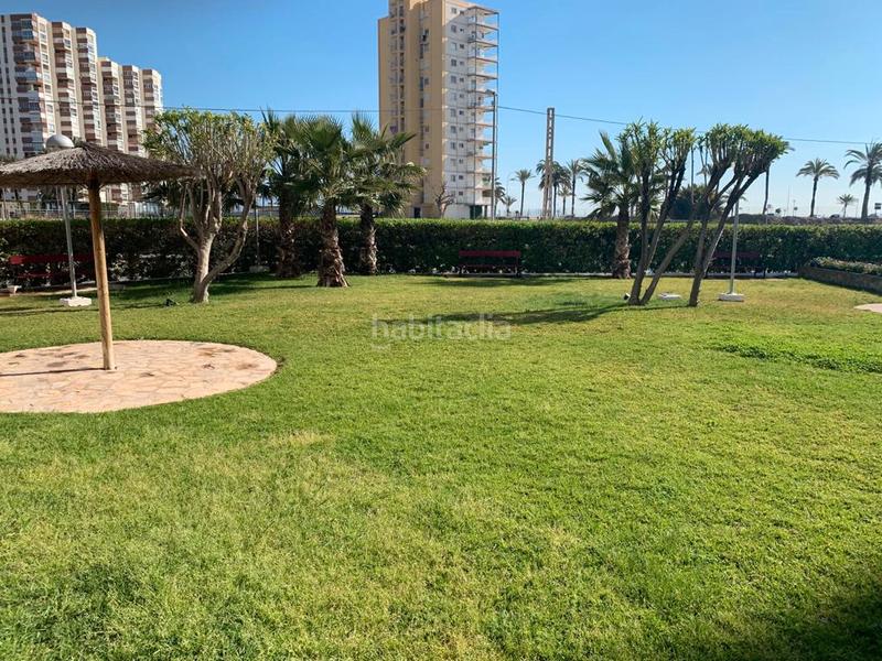 Foto dde6e47b-5e0f-47b8-826e-9a0c58f21c28. Piccolo appartamento in avenida de niza 30 in Playa de San Juan Alicante