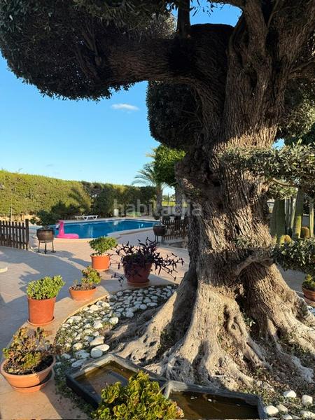 Foto 2f0e7c95-77f4-468b-a6e4-2a21027e44b2. Chalet dans partida maitino 1051 dans Alzabares Elche / Elx