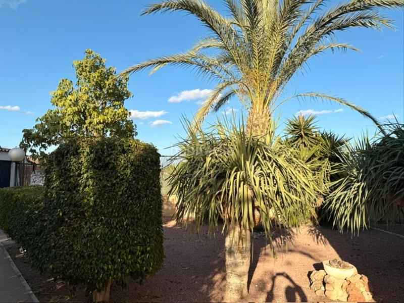 Foto 2fe38103-b1db-42ea-9756-a04697b0e64e. Chalet dans partida maitino 1051 dans Alzabares Elche / Elx