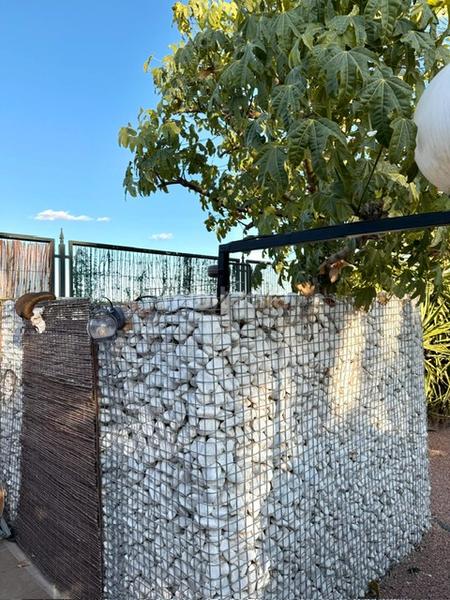 Foto 340cc9c7-abad-42f5-b4e8-b72428f7bcd7. Chalet dans partida maitino 1051 dans Alzabares Elche / Elx