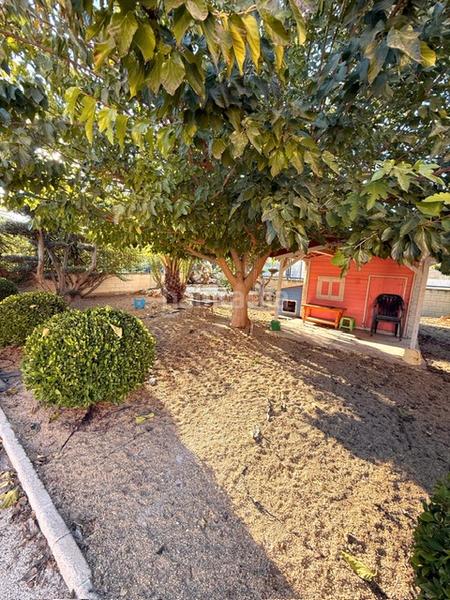 Foto a9bb1bca-a1b0-4ee4-b3fe-8862041322de. Chalet dans partida maitino 1051 dans Alzabares Elche / Elx