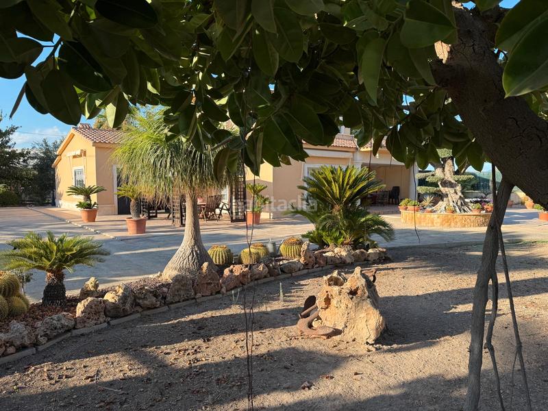 Foto bbb4f915-950c-45bd-838a-4d5609ca4d74. Chalet dans partida maitino 1051 dans Alzabares Elche / Elx