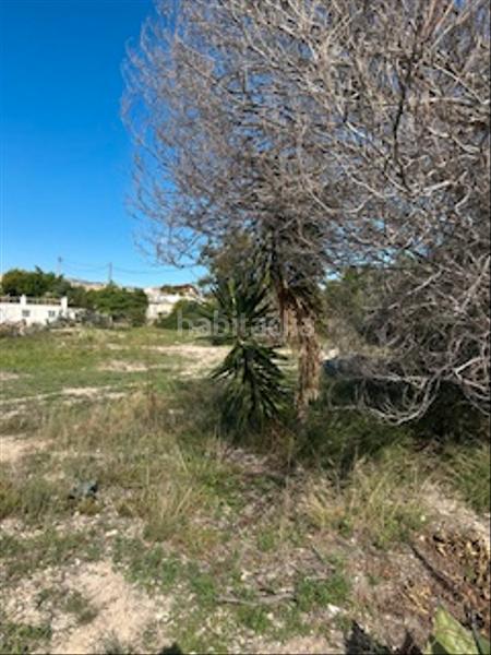 Foto 5fa17102-c7b0-4029-bdbf-746adb674d76. Terrain résidentiel dans carrer aitana 61 dans Busot