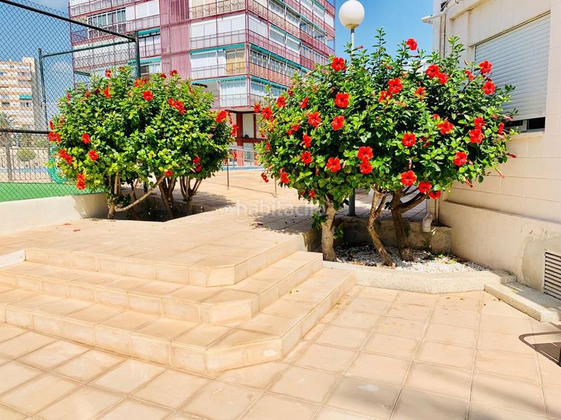 Foto fd641908-80d0-4bda-8221-f734249098b4. Apartment in avenida de niza 30 in Playa de San Juan Alicante