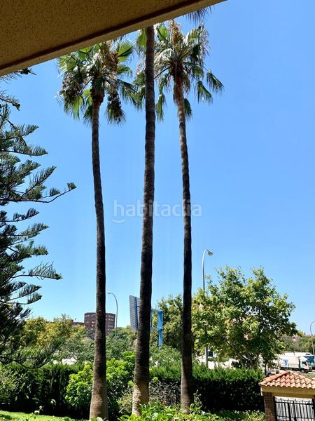 Foto 03601d2d-277a-4b53-a79b-4b80461871a9. Appartement dans avenida doctor rico 20 dans San Blas Alicante