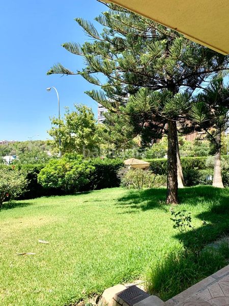 Foto 29e3e551-317c-49ee-8ed9-fa87f2302e3e. Appartement dans avenida doctor rico 20 dans San Blas Alicante