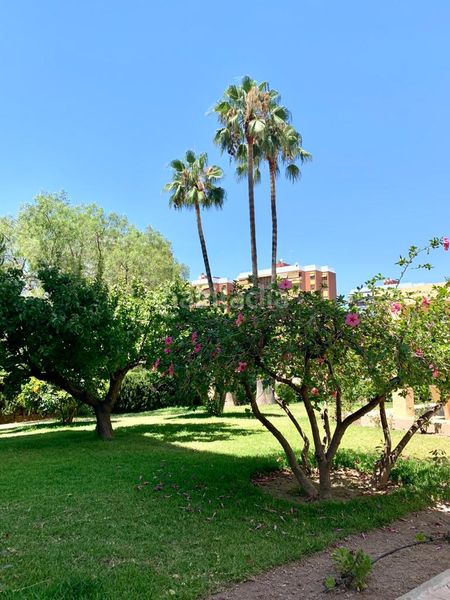 Foto 7042a342-7465-410e-9da0-b1e52ef61b2e. Appartement dans avenida doctor rico 20 dans San Blas Alicante
