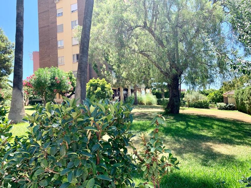 Foto 8bb66af9-2aff-4b53-8ad3-2f1ce1f197ce. Appartement dans avenida doctor rico 20 dans San Blas Alicante