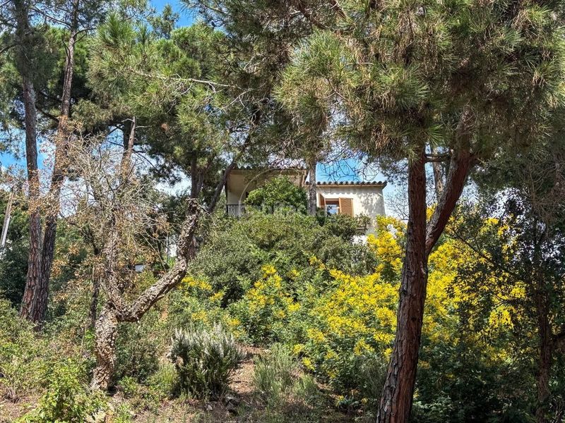 Foto db32614b-0a7b-4e24-aefa-4d28e9c51928. Casa amb calefacció a Serra Brava Lloret de Mar
