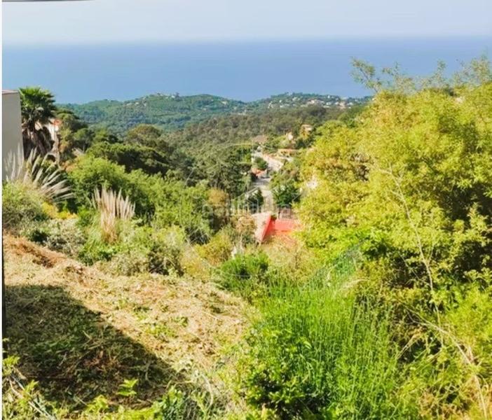 Foto 7fbf76bf-4556-4fc9-bfd2-ba390e89e68d. Terreny residencial a Serra Brava Lloret de Mar
