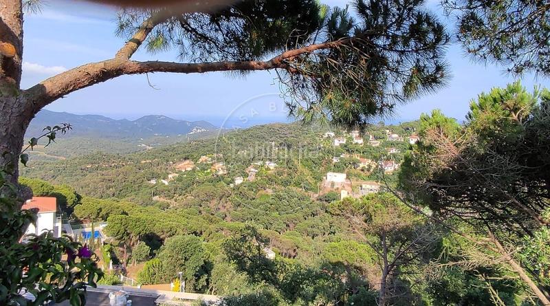 Foto cd61c41f-cd28-4f34-8120-02aaba2a5869. House with parking pool in Serra Brava Lloret de Mar