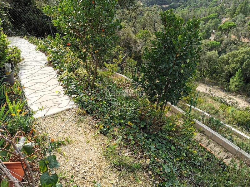 Foto 0c8e0164-0a73-4845-b69a-d4c73c0e15cf. Casa amb calefacció a Lloret Residencial - Montlloret Lloret de Mar