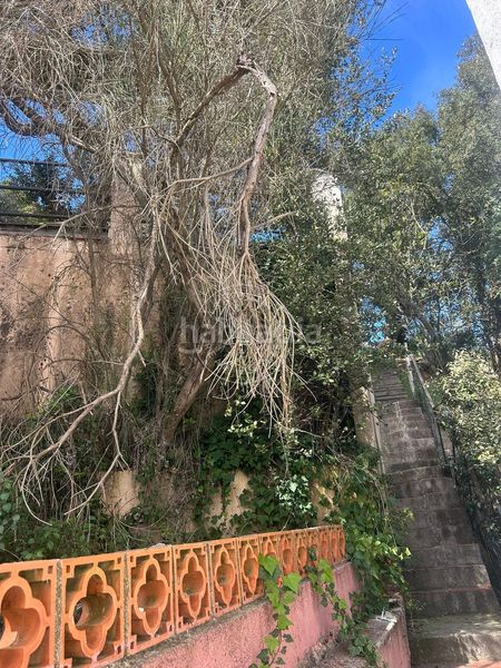 Foto 16afe790-bf45-4ed5-8df3-f5f3ca405227. Casa can carreras en Can Carreras - Montessol Pineda de Mar