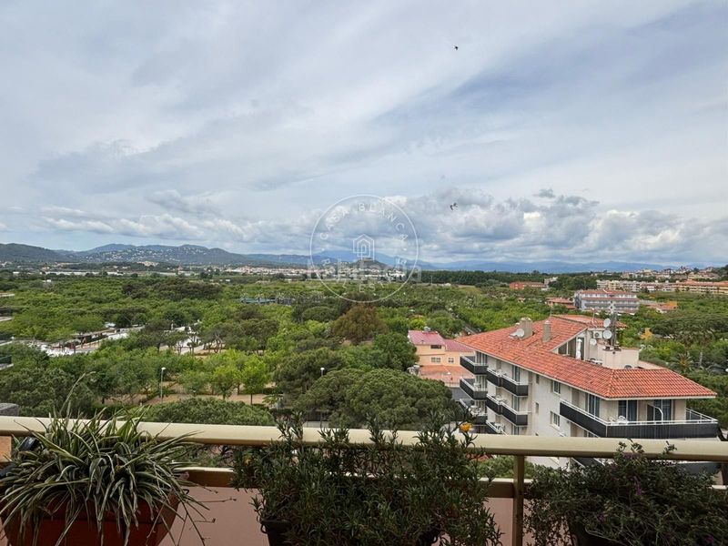 Foto 6d4786a5-eaef-4615-ba65-770c216cfe58. Apartament amb calefacció piscina a Els Pins Blanes