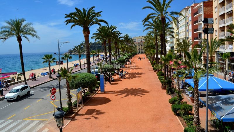 Foto 36ec1553-b8e2-46a7-9fa7-025466ceb3af. Apartament amb piscina a Mas Baell-Can Carbó Lloret de Mar