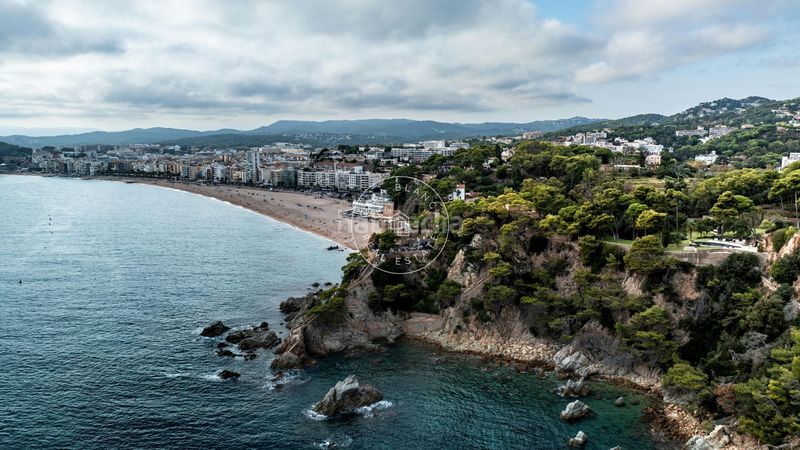 Foto c64a0c52-53b0-4a14-b500-01bfd66401a9. Apartament amb piscina a Mas Baell-Can Carbó Lloret de Mar