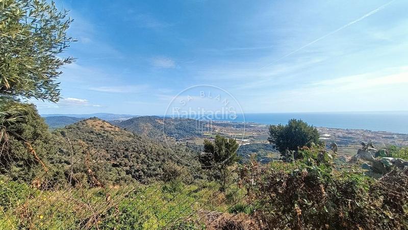 Foto 8ee166a9-961c-4e1f-89f6-c3b61dc876fa. Haus in Can Carreras - Montessol Pineda de Mar