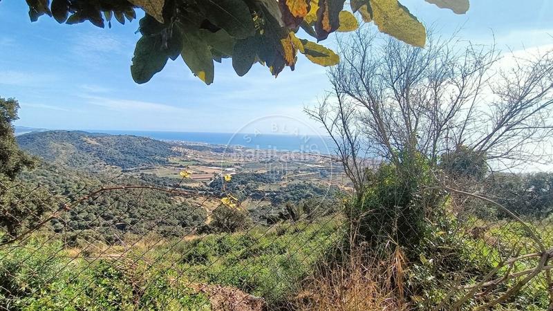 Foto e46acbe1-42bc-46d5-a287-8225515594a8. Haus in Can Carreras - Montessol Pineda de Mar