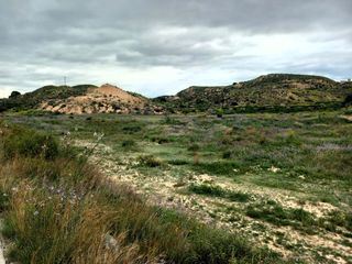 Fondo rustico in Avenida de la Albarda