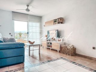Appartamento  Carrer carrer alcalde segimon. Piso con 4 habitaciones en reus