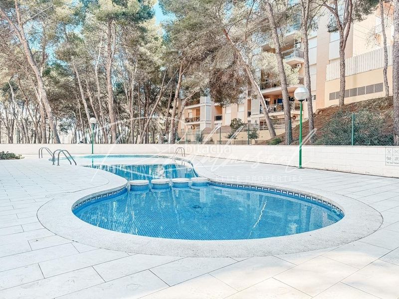 Foto d0faaded-b90c-450b-9cde-3c8d56be5c7f. Pis amb calefacció aparcament piscina a pla de maset - cap de Salou Salou