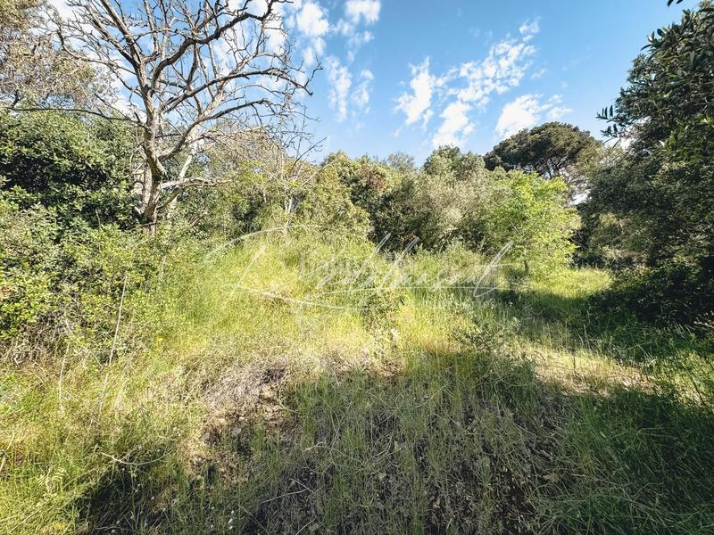 Foto 30d7b4c1-417b-4653-bf60-a6e94b5652ab. Terreno residenziale in Almoster