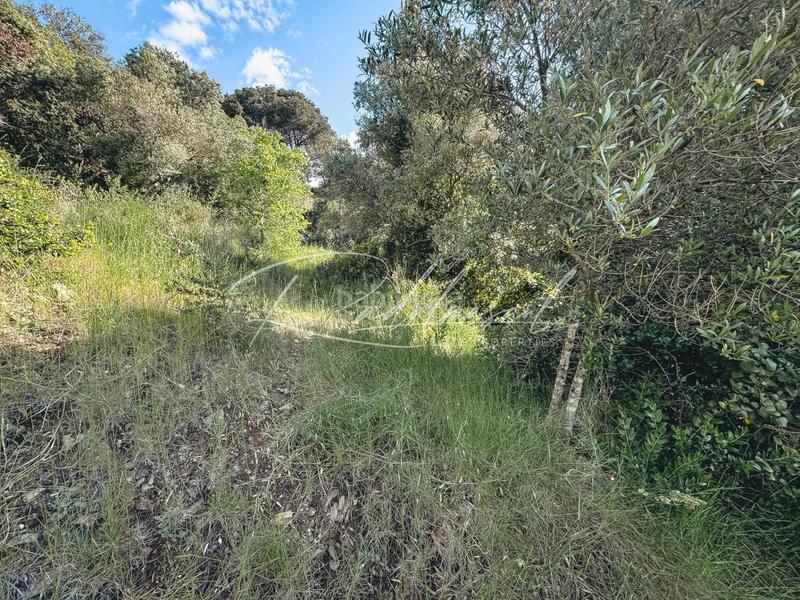 Foto 9182336d-c178-4ab1-b7bf-a3fb3122e7cf. Terreno residenziale in Almoster