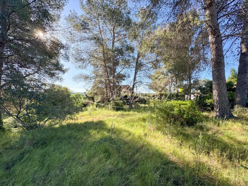 Foto 170b1c02-446c-434e-93d8-648b611b853a. Terrain résidentiel dans ceps dels 3 dans Pallaresos (Els)