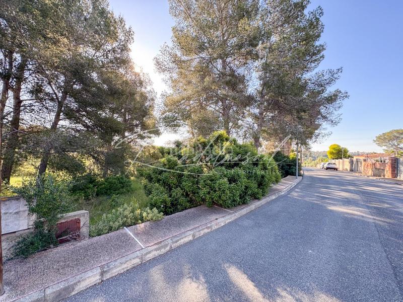 Foto 1cbf193b-5b44-4def-98d0-5696a6727d3e. Terrain résidentiel dans ceps dels 3 dans Pallaresos (Els)