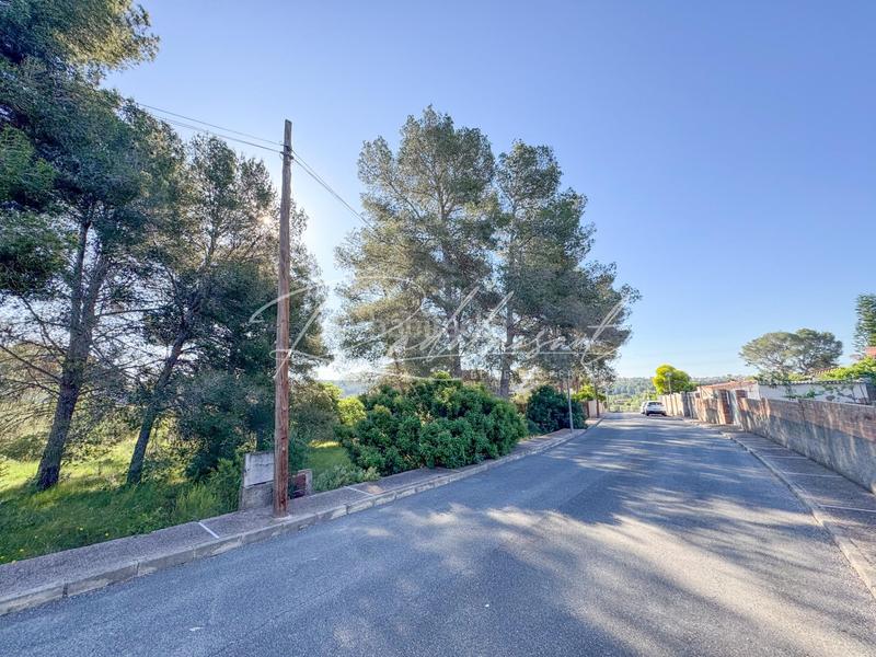 Foto 4a95fdf2-e7de-40a7-927e-cd9f9da47fe5. Terrain résidentiel dans ceps dels 3 dans Pallaresos (Els)