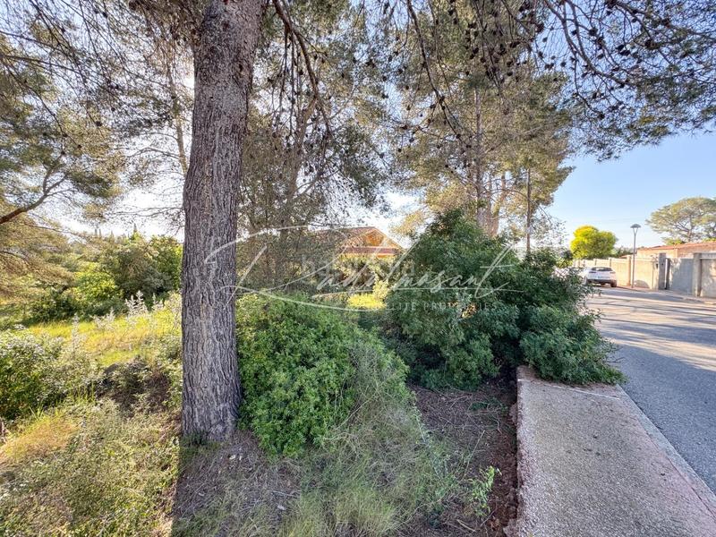 Foto 7aabfcb8-aa18-482c-ae0f-5e9b2efb6540. Terrain résidentiel dans ceps dels 3 dans Pallaresos (Els)