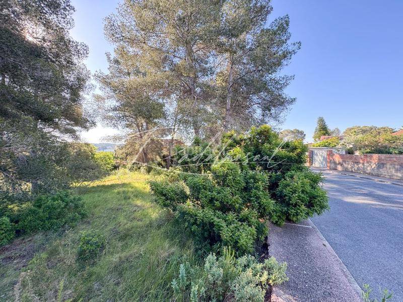 Foto 81fd328e-3bb9-4bef-aa61-5785647b404d. Terrain résidentiel dans ceps dels 3 dans Pallaresos (Els)